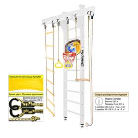 Шведская стенка Kampfer Wooden Ladder Ceiling Basketball Shield №6, цвет жемчужный, стандарт
Шведская стенка Kampfer Wooden Ladder Ceiling Basketball Shield №6, цвет жемчужный, стандарт