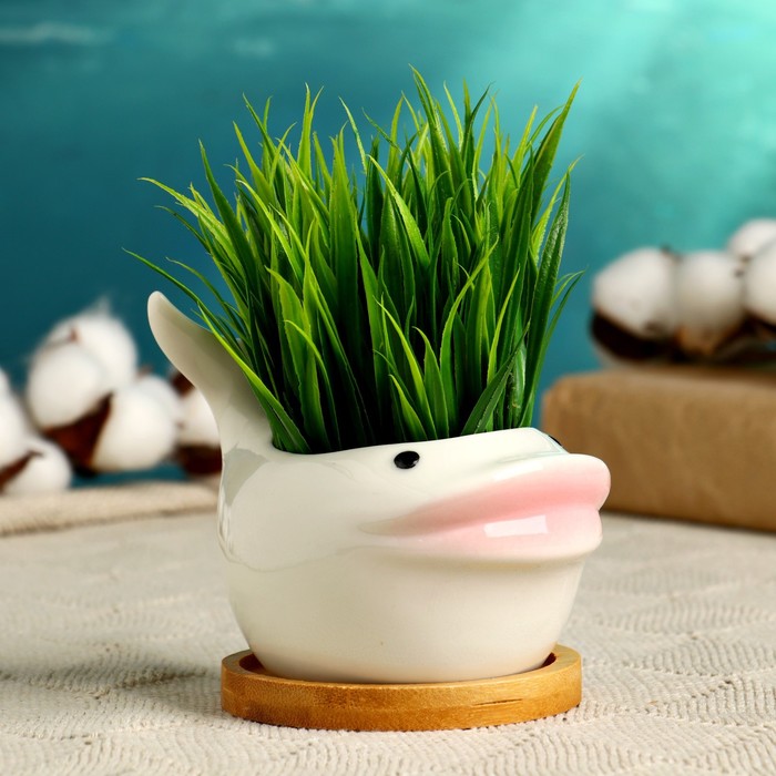 Горшок "Кит" белое 11,5*7,5*9см
Горшок "Кит" белое 11,5*7,5*9см