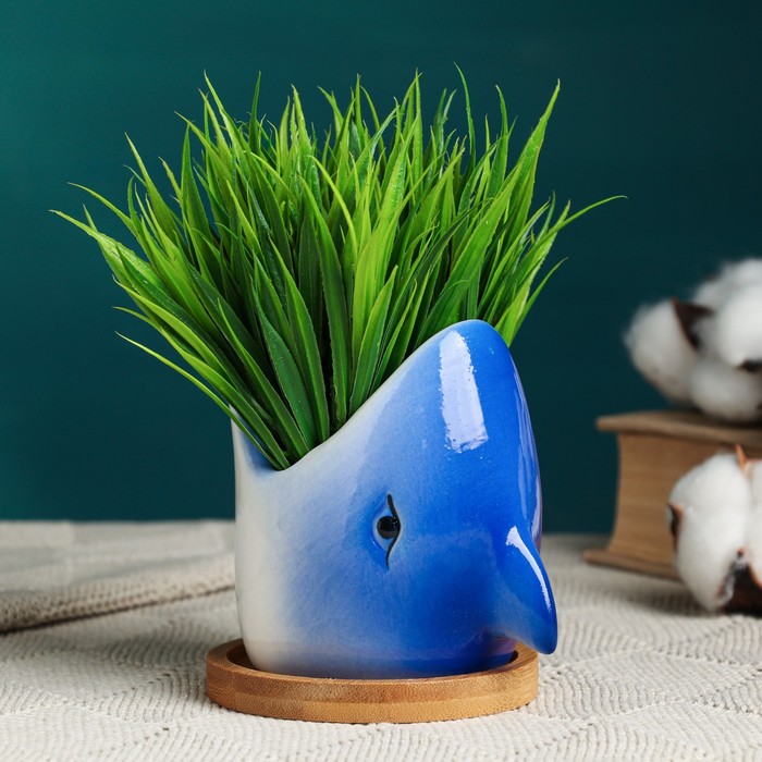 Горшок "Акула" синий, 10*7,5*10см
Горшок "Акула" синий, 10*7,5*10см