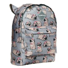 Рюкзак молодежный Erich Krause EasyLine 39*29*13 дев 17L Chilling Dog, серый 51779
Рюкзак молодежный Erich Krause EasyLine 39*29*13 дев 17L Chilling Dog, серый 51779