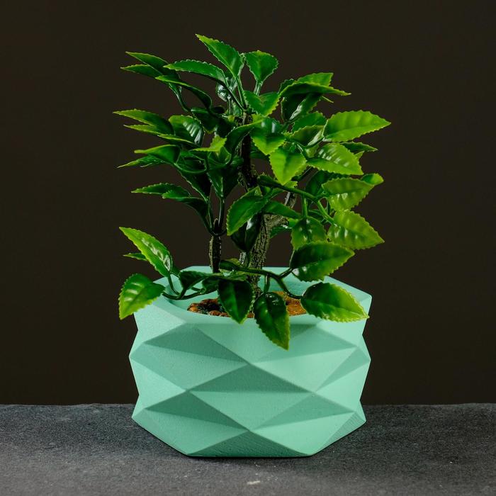 Кашпо "Афина" 0,15л зеленый
Кашпо "Афина" 0,15л зеленый