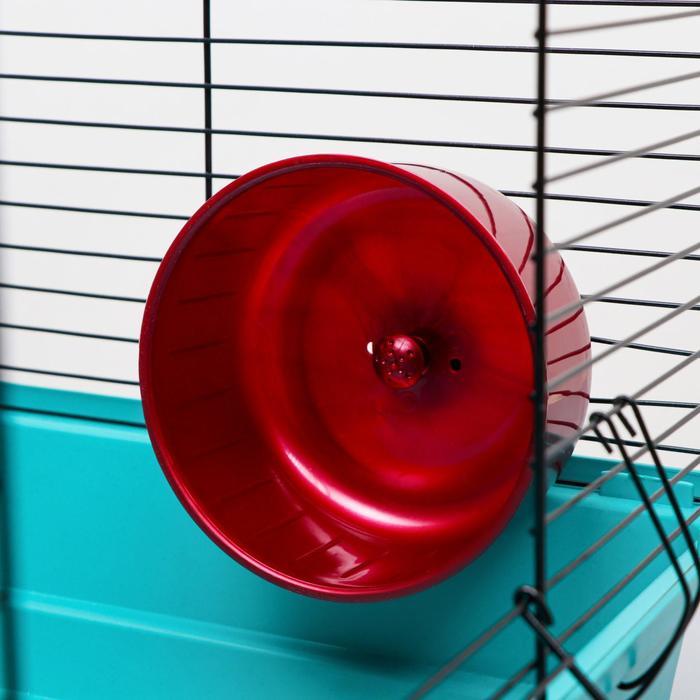 Колесо для грызунов полузакрытое пластиковое, без подставки, 13,5 см, рубиновый перламутр
Колесо для грызунов полузакрытое пластиковое, без подставки, 13,5 см, рубиновый перламутр