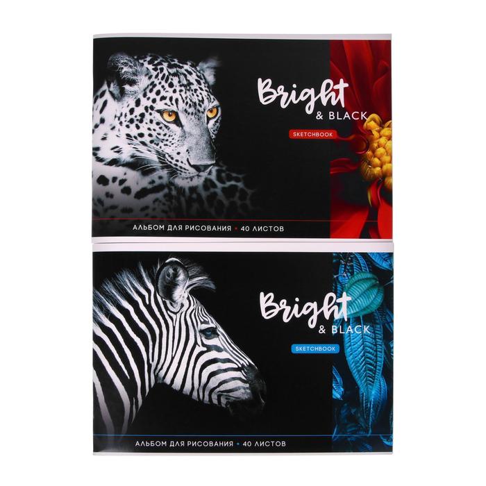 Альбом для рисования А4, 40 листов на скрепке "Животные", обложка мелованный картон, блок 100 г/м2, МИКС
Альбом для рисования А4, 40 листов на скрепке "Животные", обложка мелованный картон, блок 100 г/м2, МИКС