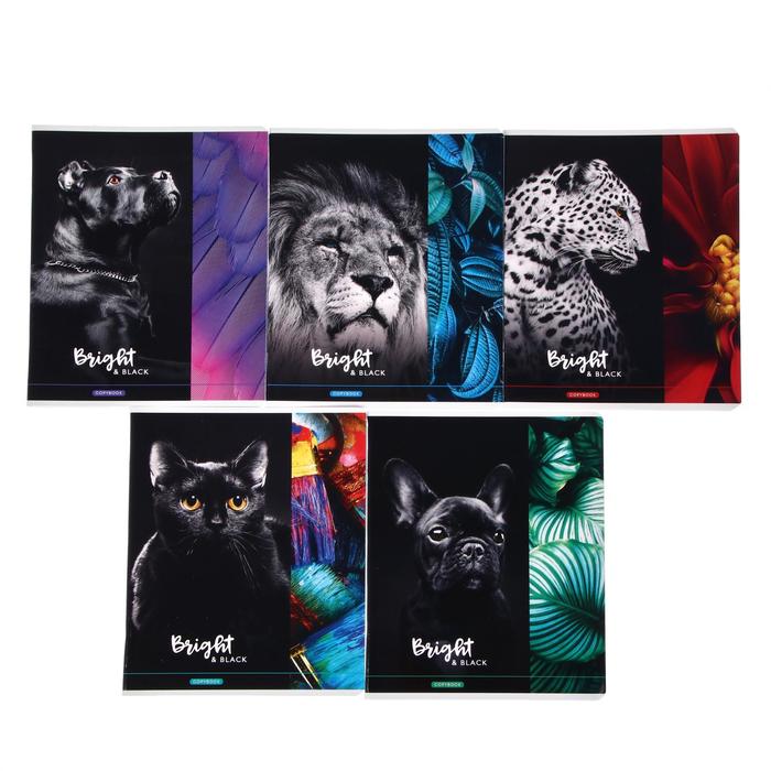 Тетрадь 48 листов в клетку "Животные", обложка мелованный картон, УФ-лак, блок офсет, МИКС
Тетрадь 48 листов в клетку "Животные", обложка мелованный картон, УФ-лак, блок офсет, МИКС