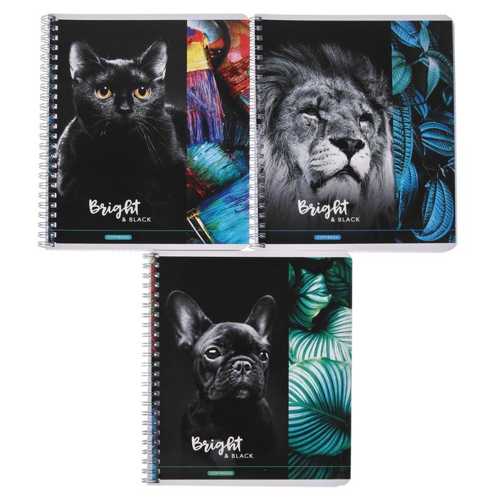 Тетрадь 80 листов в клетку на гребне Bright black, обложка мелованный картон, УФ-лак, блок офсет, МИКС
Тетрадь 80 листов в клетку на гребне Bright black, обложка мелованный картон, УФ-лак, блок офсет, МИКС