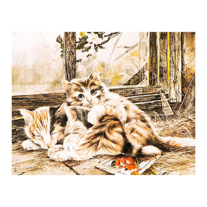 Роспись по холсту «Котёнок с кошкой» по номерам с красками по 3 мл+ кисти+инстр+крепеж, 30 × 40 см
Роспись по холсту «Котёнок с кошкой» по номерам с красками по 3 мл+ кисти+инстр+крепеж, 30 × 40 см