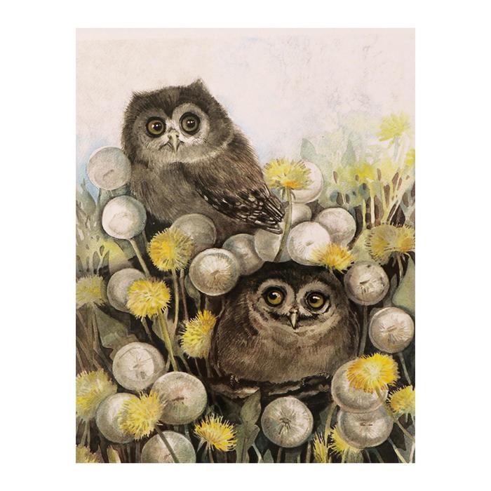 Роспись по холсту «Совушки» по номерам с красками по 3 мл+ кисти+инстр+крепеж, 30 × 40 см
Роспись по холсту «Совушки» по номерам с красками по 3 мл+ кисти+инстр+крепеж, 30 × 40 см