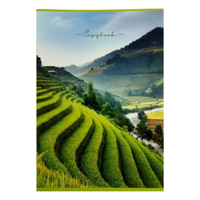 Тетрадь А4, 48 листов в клетку "Пейзаж", обложка мелованный картон, блок офсет 
Тетрадь А4, 48 листов в клетку "Пейзаж", обложка мелованный картон, блок офсет