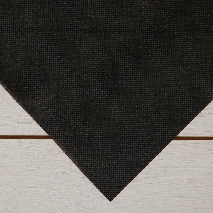 Материал для ландшафтных работ, 1,6 × 25 м, плотность 100 г/м², чёрный
Материал для ландшафтных работ, 1,6 × 25 м, плотность 100 г/м², чёрный