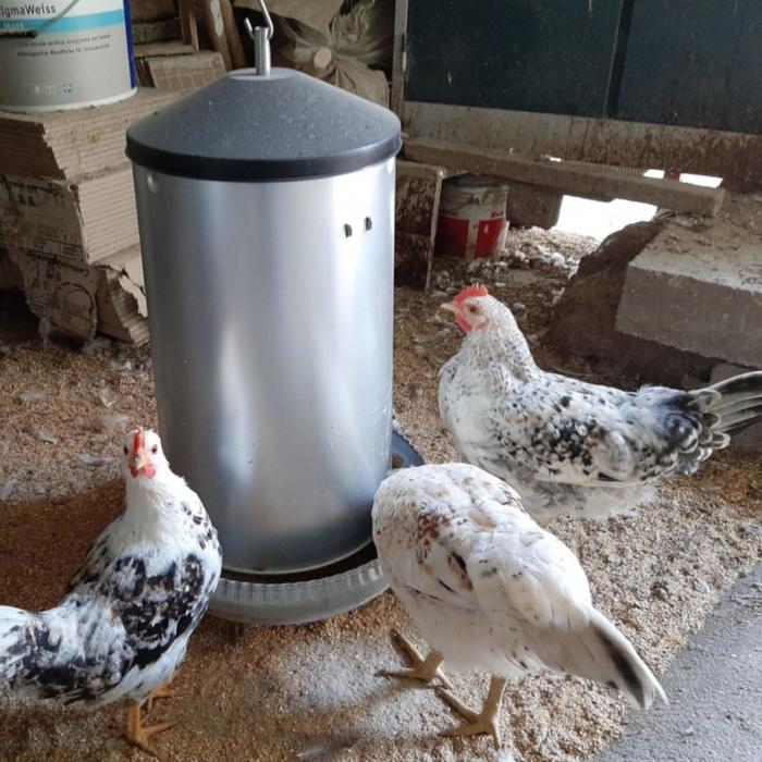 фото Кормушка бункерная для домашней птицы на 18 кг, оцинкованная сталь contro fratelli