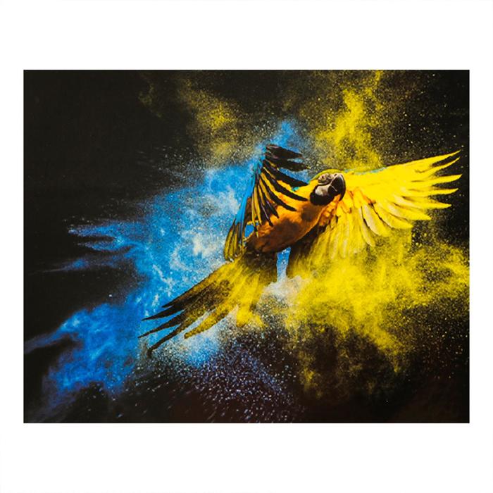 Роспись по холсту «Попугай» по номерам с красками по 3 мл+ кисти+инстр+крепеж, 30×40 см
Роспись по холсту «Попугай» по номерам с красками по 3 мл+ кисти+инстр+крепеж, 30×40 см