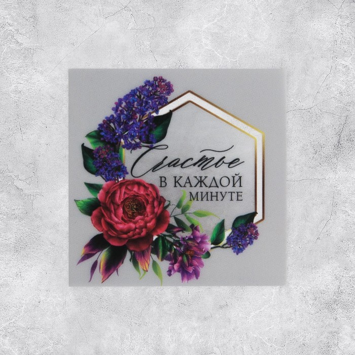 Набор виниловых наклеек «Счастье», 5 шт, 5 × 5 см
Набор виниловых наклеек «Счастье», 5 шт, 5 × 5 см