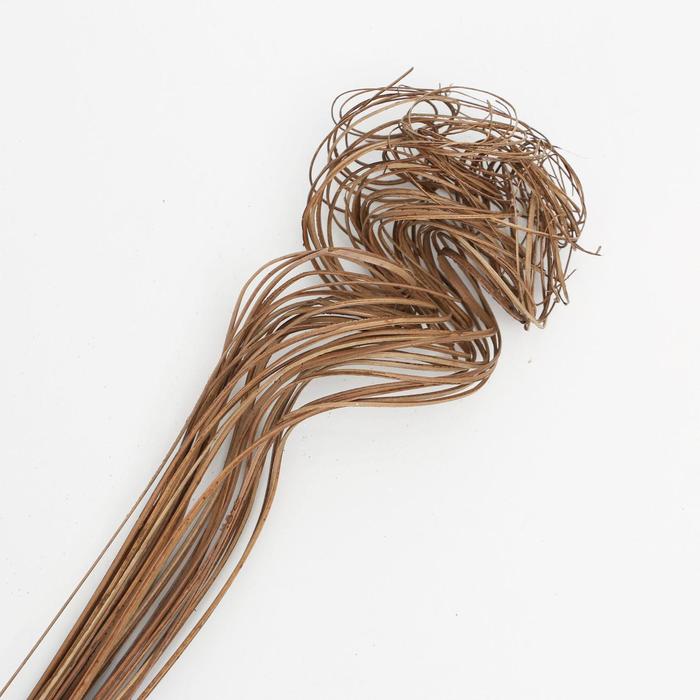 Эко-декор тинг коричневый For you, 70 см, 30 шт
Эко-декор тинг коричневый For you, 70 см, 30 шт