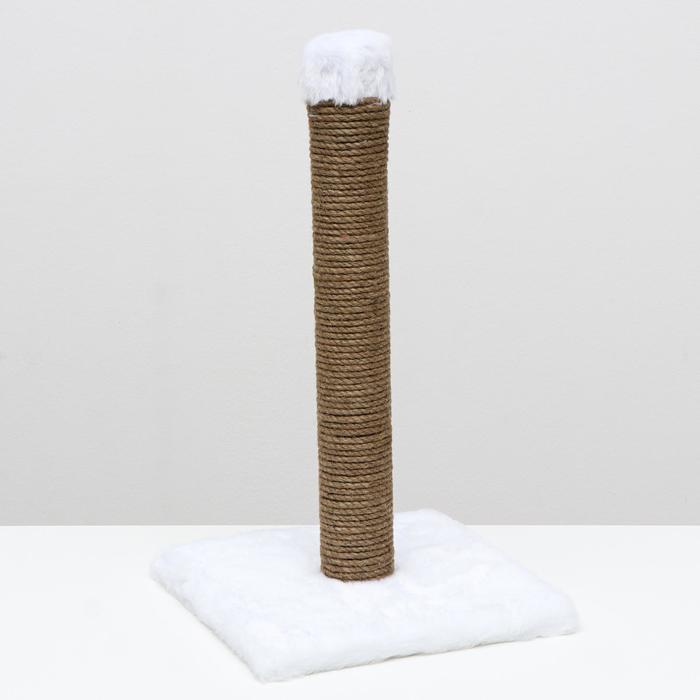 Когтеточка-столбик, джут, 30 х 30 х 52 см, белая
Когтеточка-столбик, джут, 30 х 30 х 52 см, белая