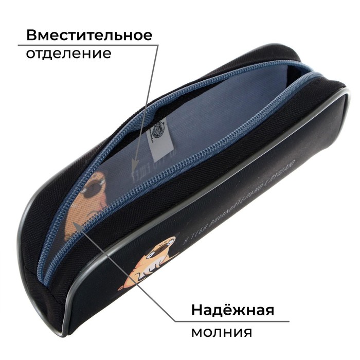 фото Пенал мягкий, 1 отделение, 80 х 210 х 40 мм, объёмный, calligrata пмо 21-20, "мопс"