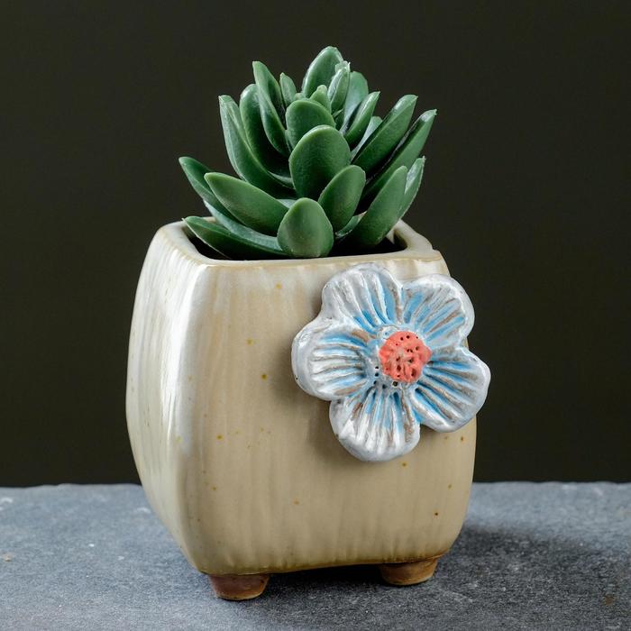 Горшок "Куб с цветком" персиковое, 6*5см
Горшок "Куб с цветком" персиковое, 6*5см