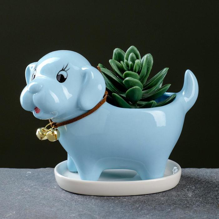 Горшок "Щенок", голубой 13*7*10см
Горшок "Щенок", голубой 13*7*10см