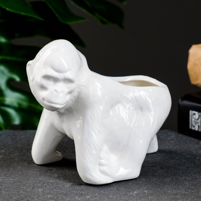 Горшок "Шимпанзе" 13*8*11,5см
Горшок "Шимпанзе" 13*8*11,5см