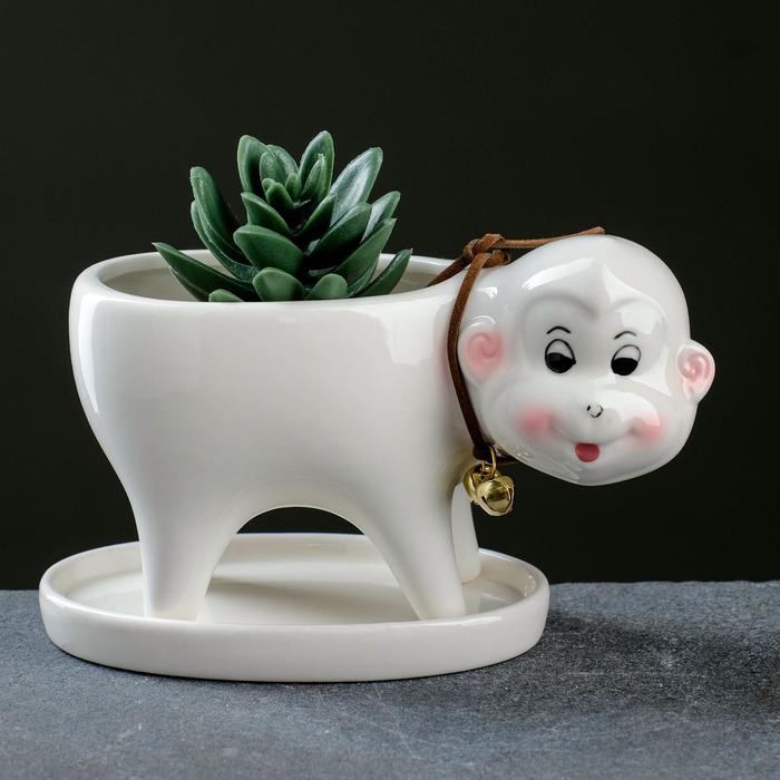 Горшок "Обезьянка" белое 15,5*7,5*10см
Горшок "Обезьянка" белое 15,5*7,5*10см