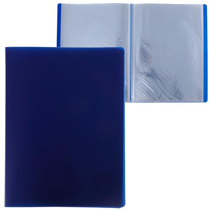 Папка с 60 вкладышами А4, 500 мкм, Calligrata, черничная
Папка с 60 вкладышами А4, 500 мкм, Calligrata, черничная