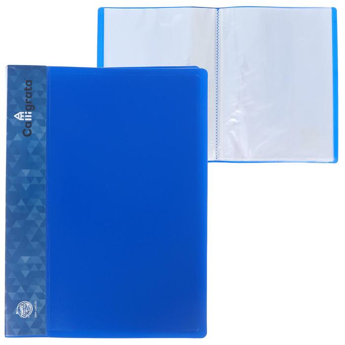 Папка с 10 вкладышами А4, 500 мкм, Calligrata, карман на корешке, синяя
Папка с 10 вкладышами А4, 500 мкм, Calligrata, карман на корешке, синяя