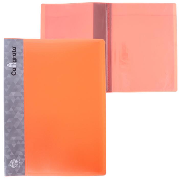 Папка с 20 вкладышами А4, 500 мкм, Calligrata, карман на корешке, неон, оранжевая
Папка с 20 вкладышами А4, 500 мкм, Calligrata, карман на корешке, неон, оранжевая