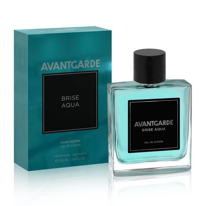 Туалетная вода мужская Avantgarde Brise Aqua, 100 мл
Туалетная вода мужская Avantgarde Brise Aqua, 100 мл