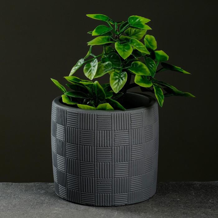 Кашпо "Лютеция" 0,66л серый
Кашпо "Лютеция" 0,66л серый