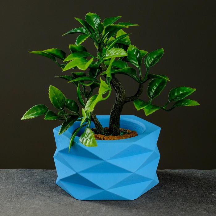 Кашпо "Афина" 0,15л голубой
Кашпо "Афина" 0,15л голубой