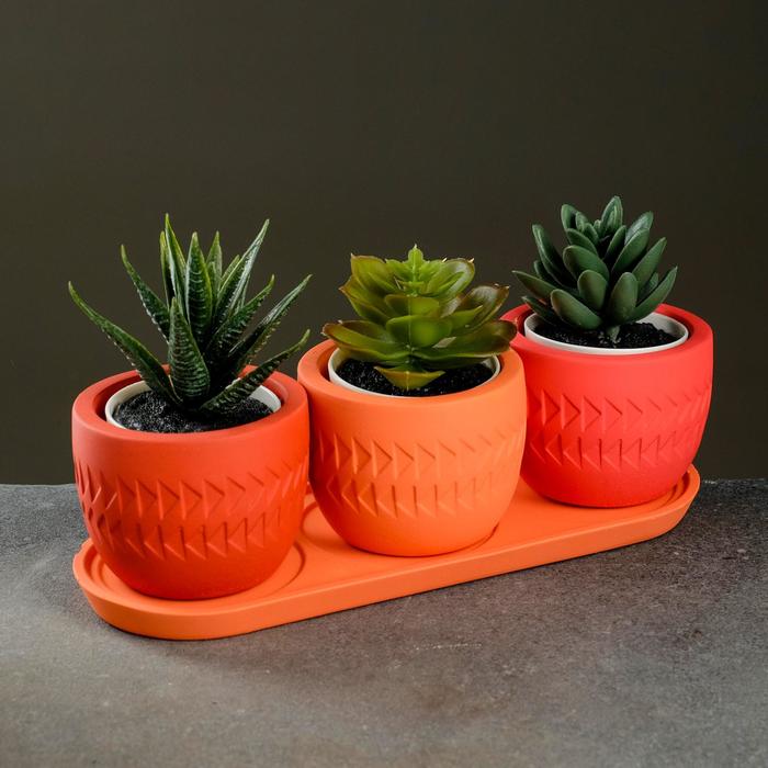 Набор горшков с поддоном "Киро" 0,18л (терракот, красный, пудра)
Набор горшков с поддоном "Киро" 0,18л (терракот, красный, пудра)