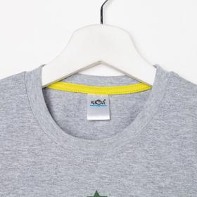 Футболка для мальчика, цвет серый, рост 146-152 см
Футболка для мальчика, цвет серый, рост 146-152 см