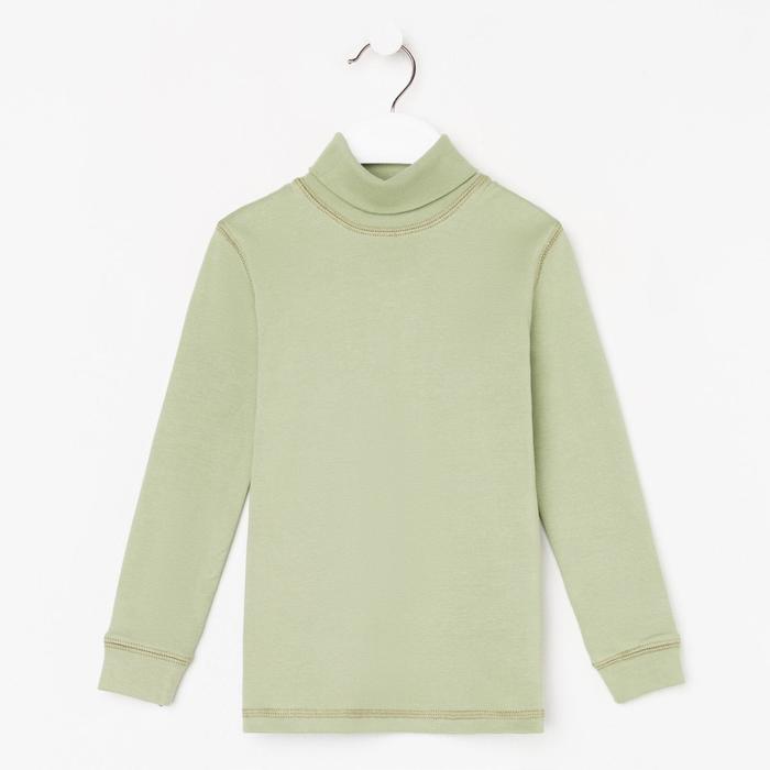 Водолазка для мальчика, цвет оливка, рост 116 см
Водолазка для мальчика, цвет оливка, рост 116 см