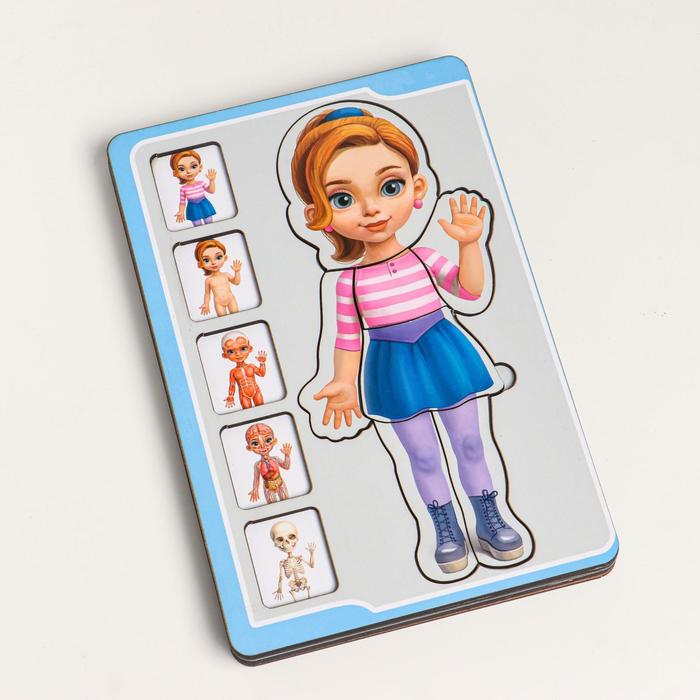 Пазл-сортер "Анатомия человека-девочка"
Пазл-сортер "Анатомия человека-девочка"