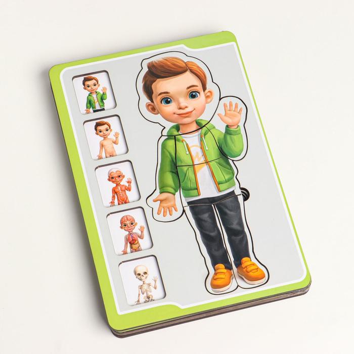 Пазл-сортер "Анатомия человека-мальчик"
Пазл-сортер "Анатомия человека-мальчик"