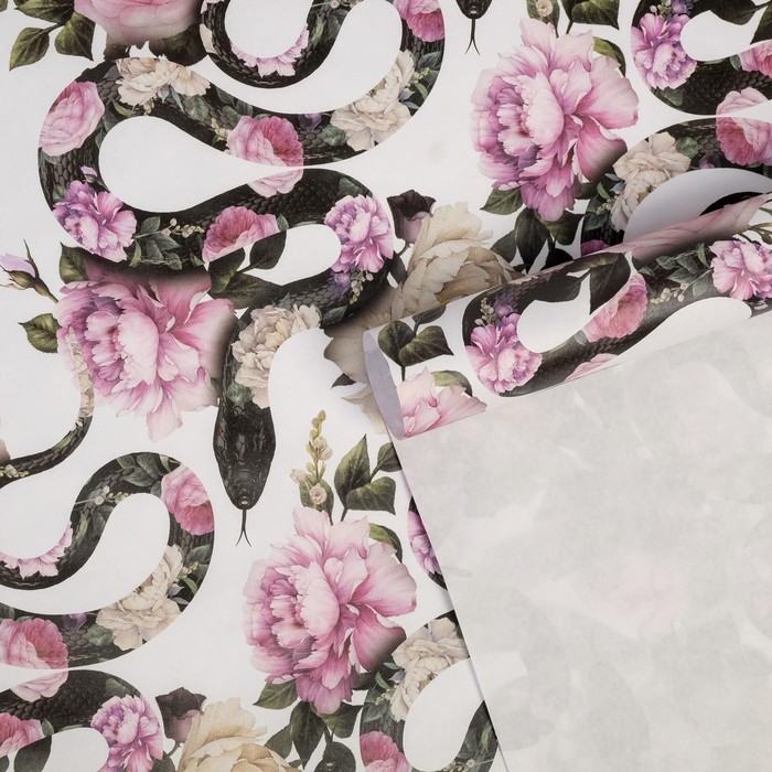 Бумага упаковочная крафтовая «Змеи», 50 × 70 см
Бумага упаковочная крафтовая «Змеи», 50 × 70 см