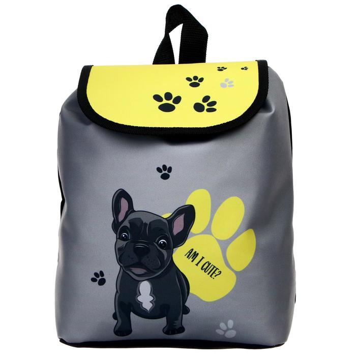 Рюкзак детский Calligrata СР-01 29х22х13,5 мяг. спинка «Бульдог», сер/желт/чёрн
Рюкзак детский Calligrata СР-01 29х22х13,5 мяг. спинка «Бульдог», сер/желт/чёрн