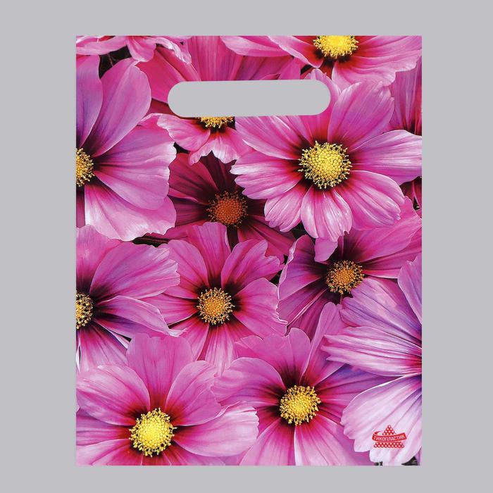 Пакет "Яркие хризантемы", полиэтиленовый с вырубной ручкой, 20х30 см, 30 мкм
Пакет "Яркие хризантемы", полиэтиленовый с вырубной ручкой, 20х30 см, 30 мкм