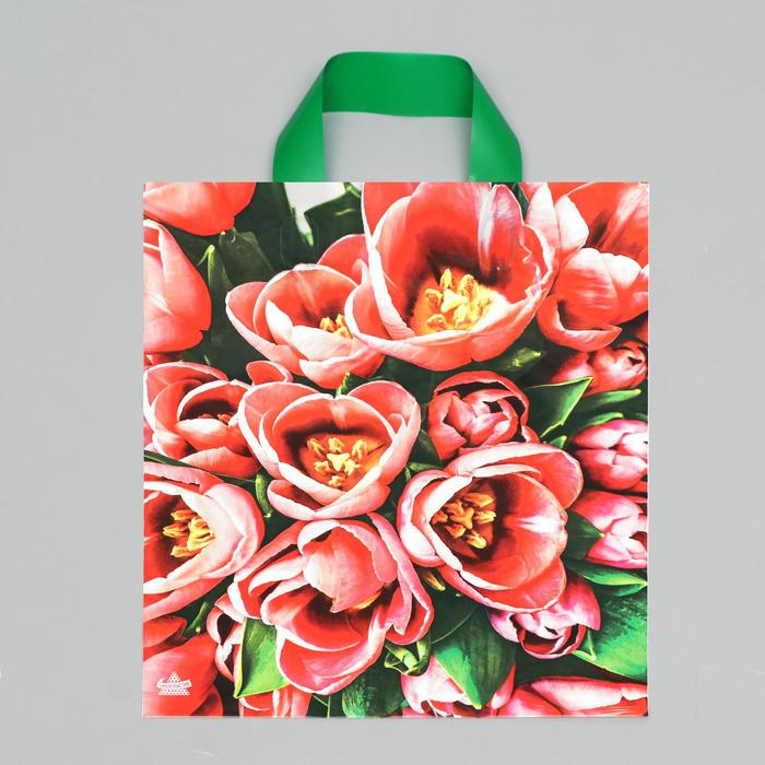 Пакет "Тюльпаны оранж", полиэтиленовый с петлевой ручкой, 35х28 см, 55 мкм
Пакет "Тюльпаны оранж", полиэтиленовый с петлевой ручкой, 35х28 см, 55 мкм