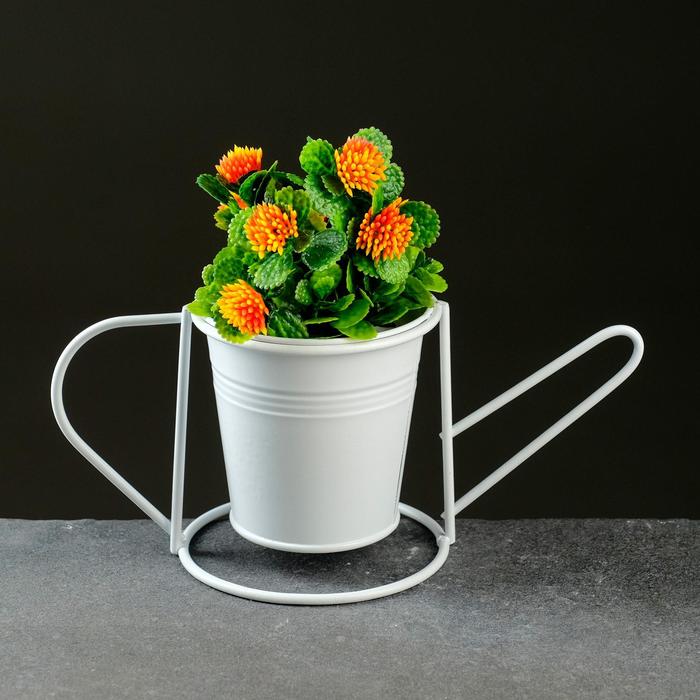 Кашпо "Лейка" с подставкой, микс 9,5*7*9,5
Кашпо "Лейка" с подставкой, микс 9,5*7*9,5