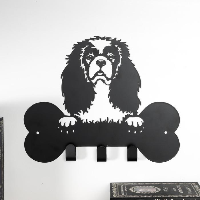 Крючки декоративные металл "Пёсик спаниель с косточкой" 26х33х2,3 см
Крючки декоративные металл "Пёсик спаниель с косточкой" 26х33х2,3 см