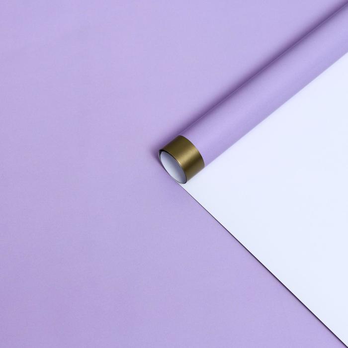 Бумага глянцевая "Золотая полоса", сиреневая, 1 х 0,7 м, 2 шт.
Бумага глянцевая "Золотая полоса", сиреневая, 1 х 0,7 м, 2 шт.