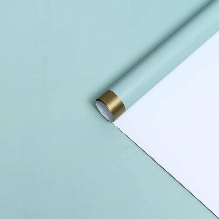 Бумага глянцевая "Золотая полоса", мятная, 1 х 0,7 м, 2 шт.
Бумага глянцевая "Золотая полоса", мятная, 1 х 0,7 м, 2 шт.