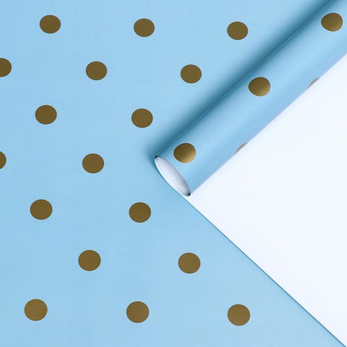 Бумага упаковочная глянцевая "Горох" , голубой, 2 листа 70 х 100 см
Бумага упаковочная глянцевая "Горох" , голубой, 2 листа 70 х 100 см
