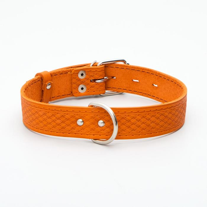Ошейник кожаный однослойный, 64 х 3,5 см, ОШ 49-61 см, рыжий
Ошейник кожаный однослойный, 64 х 3,5 см, ОШ 49-61 см, рыжий