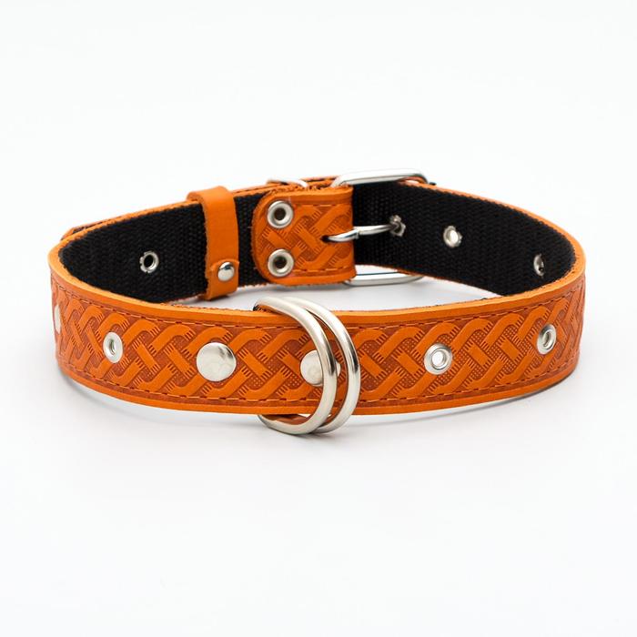 Ошейник кожаный усиленный капроном с полукольцом, 62 х 3,5 см, ОШ 33-60 см, рыжий
Ошейник кожаный усиленный капроном с полукольцом, 62 х 3,5 см, ОШ 33-60 см, рыжий