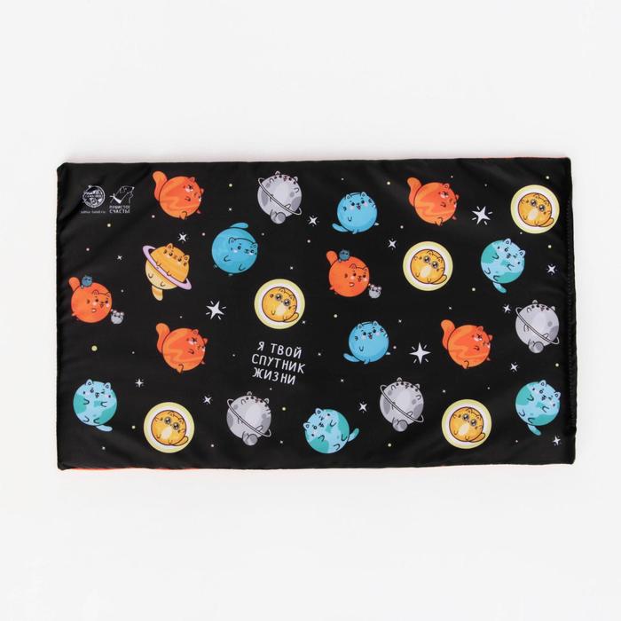 Текстильный матрасик 48х28 см «Я твой спутник жизни»
Текстильный матрасик 48х28 см «Я твой спутник жизни»