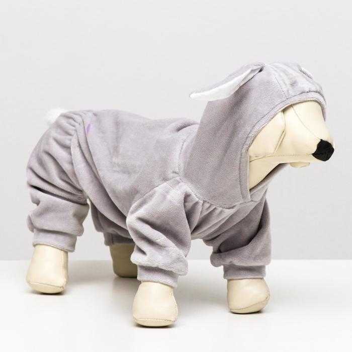 Комбинезон дляживотных "Зайка", XL (ДС 31-33, ОШ 34, ОГ 46-48 см), серый
Комбинезон дляживотных "Зайка", XL (ДС 31-33, ОШ 34, ОГ 46-48 см), серый