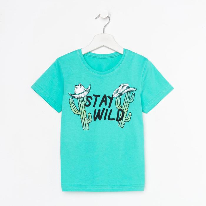 Футболка для мальчика, цвет мятный, рост 122 см
Футболка для мальчика, цвет мятный, рост 122 см