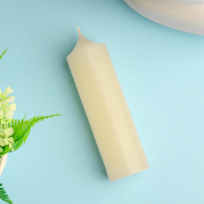 Свеча хозяйственная для обогрева теплиц и парников, 14.5х4 см, 145 гр, 24 ч
Свеча хозяйственная для обогрева теплиц и парников, 14.5х4 см, 145 гр, 24 ч