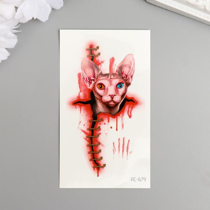 Татуировка на тело цветная "Сфинкс в ране" МИКС 10,5х6 см 
Татуировка на тело цветная "Сфинкс в ране" МИКС 10,5х6 см